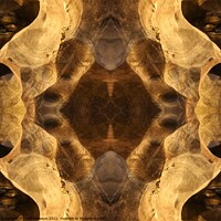 Buy canvas prints of Rotated Mirrored Ornament on cave wall by Hanif Setiawan