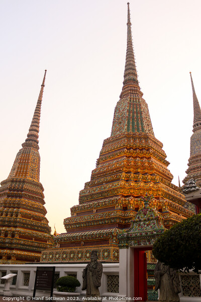 2nd entrance to Phra Chedi Rai with two guardians Picture Board by Hanif Setiawan