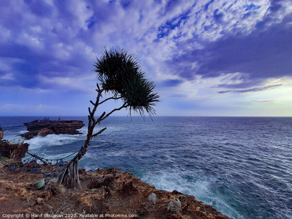 A palm tree and rock island in stormy sea Picture Board by Hanif Setiawan