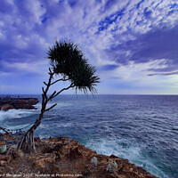 Buy canvas prints of A palm tree and rock island in stormy sea by Hanif Setiawan