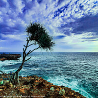 Buy canvas prints of A palm tree and rock island in stormy sea by Hanif Setiawan