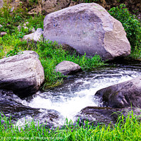 Buy canvas prints of Wild creek with stones and grass by Hanif Setiawan