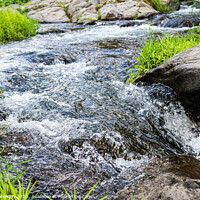 Buy canvas prints of Wild creek with stones and grass 3 by Hanif Setiawan