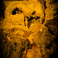 Buy canvas prints of Animal skull sculpture by rock erosion 2 by Hanif Setiawan