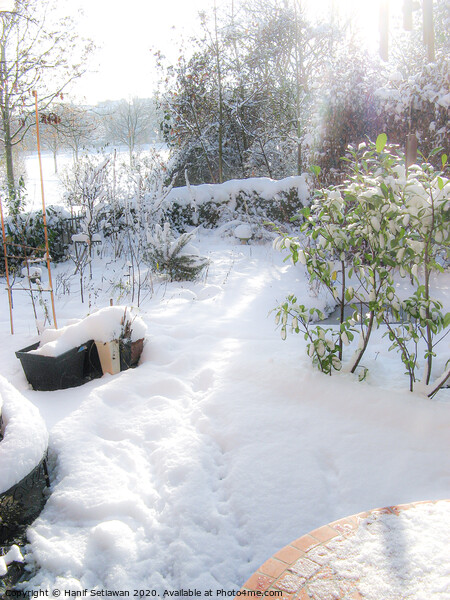 A sunny winter day with fresh snow and footprints  Picture Board by Hanif Setiawan