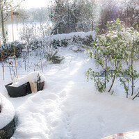 Buy canvas prints of A sunny winter day with fresh snow and footprints  by Hanif Setiawan