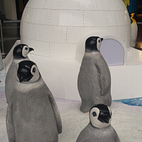 Buy canvas prints of group of Penguin sculptures in front of an igloo 1 by Hanif Setiawan