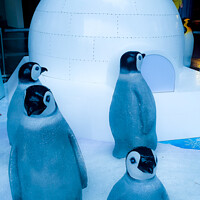Buy canvas prints of group of Penguin sculptures in front of an igloo 2 by Hanif Setiawan