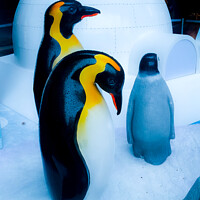 Buy canvas prints of group of Penguin sculptures in front of an igloo 4 by Hanif Setiawan