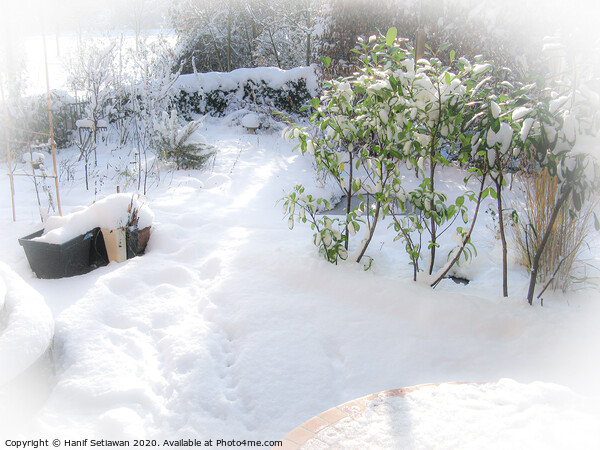 Fresh snow with deep foot prints in sunny garden Picture Board by Hanif Setiawan