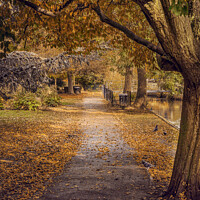 Buy canvas prints of Great Stour Way, Canterbury in Autumn by James Eastwell