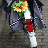 Buy canvas prints of Amsterdam bike. by Dr.Oscar williams: PHD