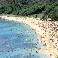 Buy canvas prints of Caribbean beach. by Dr.Oscar williams: PHD