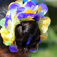 Buy canvas prints of Floral hairpiece. by Dr.Oscar williams: PHD
