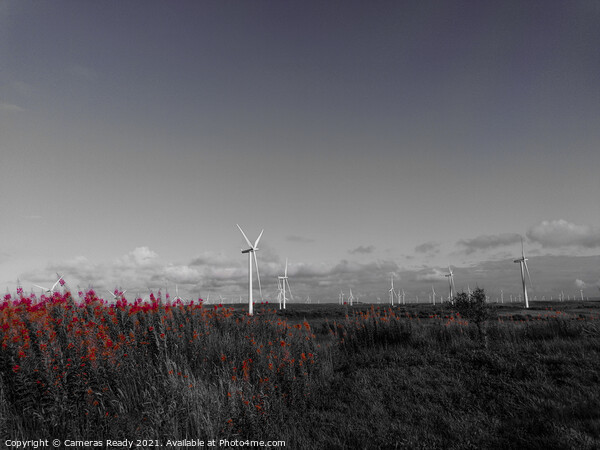 Beautiful B&W windfarm  Picture Board by Paddy 