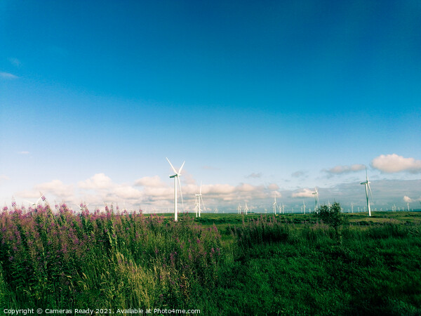 Windfarms in Scotland  Picture Board by Paddy 