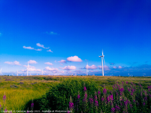 Outdoor field with wind farms  Picture Board by Paddy 
