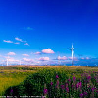Buy canvas prints of Outdoor field with wind farms  by Paddy 