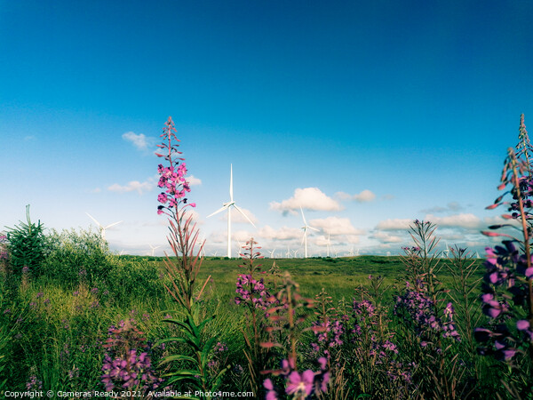 Whitelees windfarm  Picture Board by Paddy 