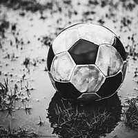 Buy canvas prints of A football resting ona wet pitch  by Paddy 