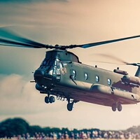 Buy canvas prints of A army helicopter landing  by Paddy 