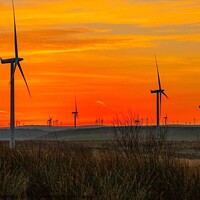 Buy canvas prints of Windfarm by Paddy 