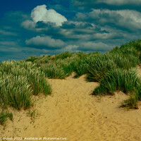 Buy canvas prints of Holkham Dunes  by Clive Karl Wuest