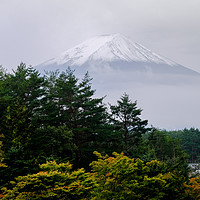 Buy canvas prints of Mount Fuji by Clive Karl Wuest