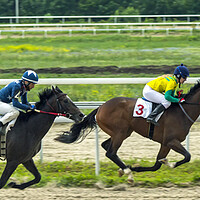 Buy canvas prints of Horse race by Mikhail Pogosov