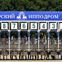 Buy canvas prints of Horse racing in Pyatigorsk by Mikhail Pogosov
