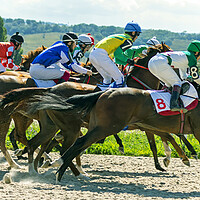 Buy canvas prints of Horse race in Pyatigorsk hippodrome. by Mikhail Pogosov