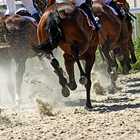 Buy canvas prints of Horse race close-up. by Mikhail Pogosov