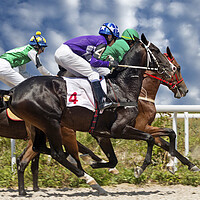 Buy canvas prints of Horse race for the prize Prohorova. by Mikhail Pogosov