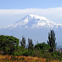 Buy canvas prints of View of the majestic Mount Ararat by Mikhail Pogosov