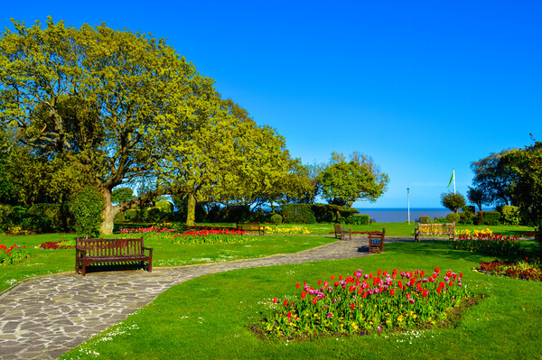 Beautiful gardens in spring time in Frinton-on-Sea Picture Board by Paula Tracy