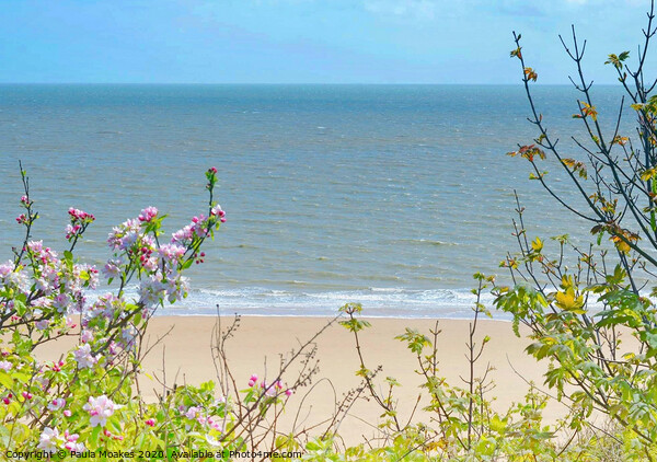 Beautiful blossom by the sea Picture Board by Paula Tracy