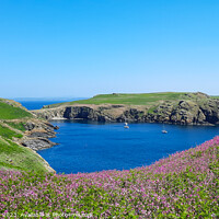 Buy canvas prints of Skomer Island View by claire chown