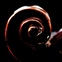 Buy canvas prints of Violin Scroll by claire chown