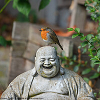 Buy canvas prints of The Robin and The Buddha by claire chown
