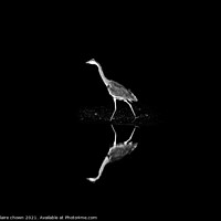 Buy canvas prints of Reflective Grey Heron by claire chown