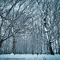 Buy canvas prints of Winter at The Manor by claire chown