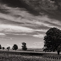 Buy canvas prints of Country Road, Illinois by Roger Aubrey
