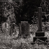 Buy canvas prints of Overgrown graves by Roger Aubrey