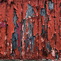 Buy canvas prints of Flaking Paint by Roger Aubrey