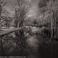 Buy canvas prints of Bute Park, Cardiff  by Roger Aubrey