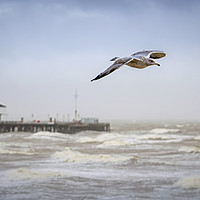 Buy canvas prints of Clacton stormy seaside by Zita Stanko
