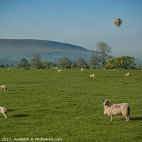 Buy canvas prints of Hot Air Balloon ride over Pendle Hill by Richard Perks
