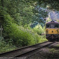 Buy canvas prints of Heritage Diesel train framed by the trees by Richard Perks