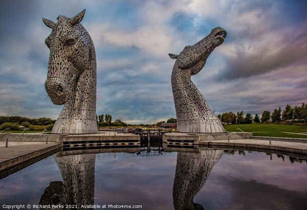 Kelpie Reflections Picture Board by Richard Perks