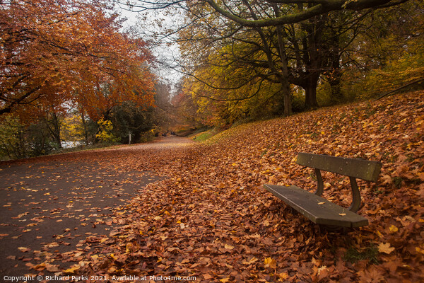  A carpet of Autumn leaves Picture Board by Richard Perks